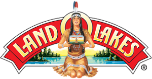 David Grsant - Land O' Lakes